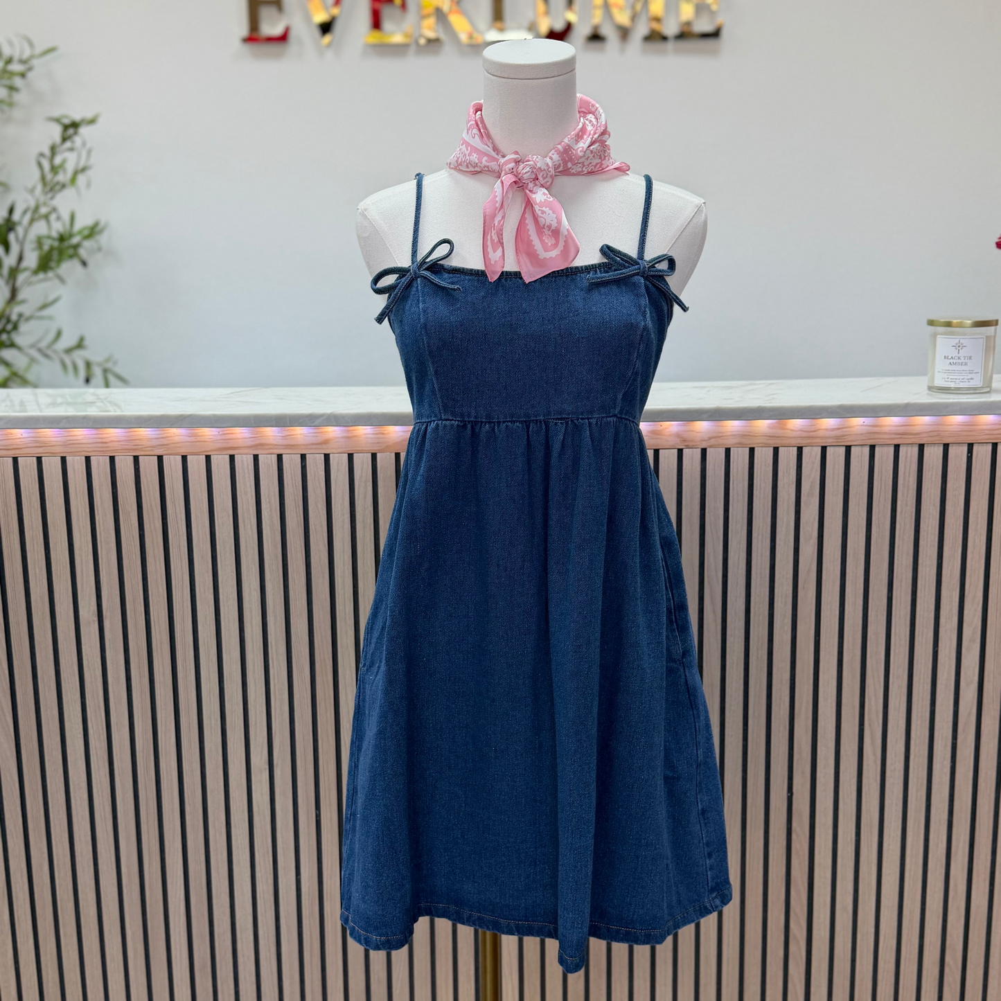 Blue Skies Denim Mini Dress