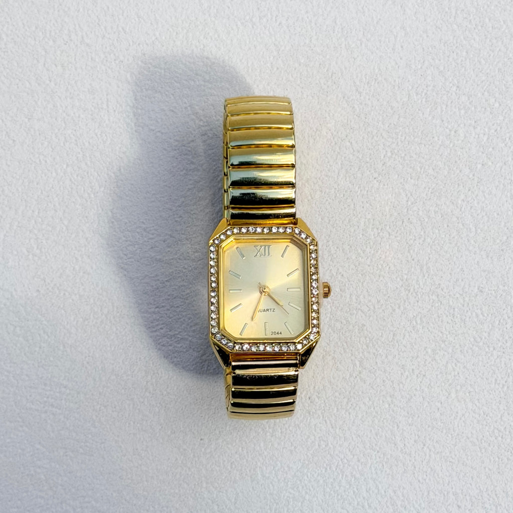 The Monroe Watch