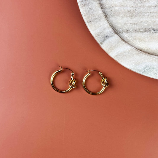 Arlo Hoops
