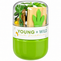 Dinosaur Grab & Go Jar